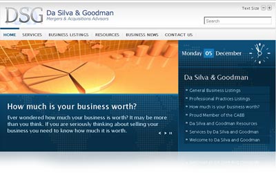 DaSilva and Goodman Website Display